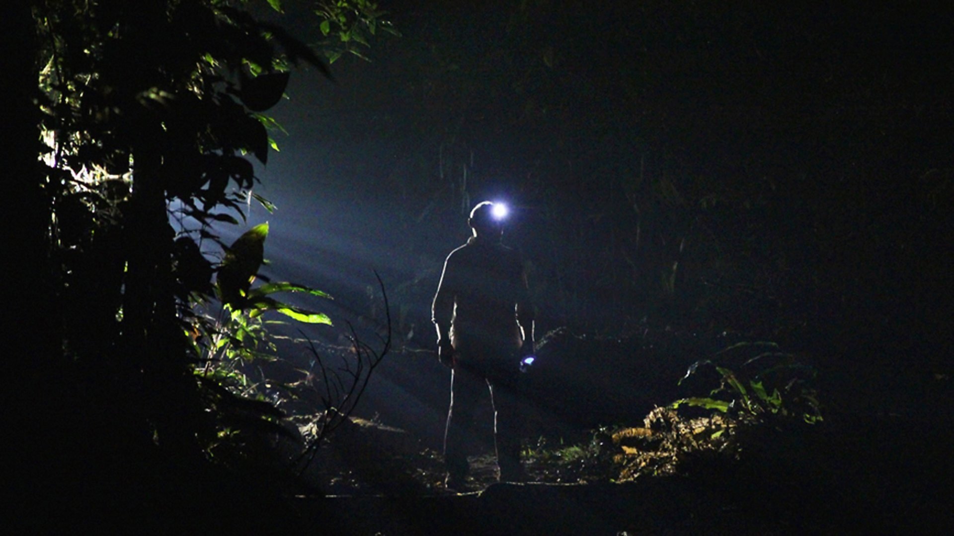 Dark World รีวิวหนัง